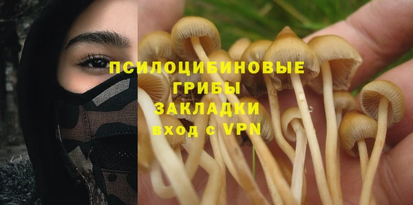 PSILOCYBIN Дубна