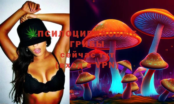 хмурый Наволоки