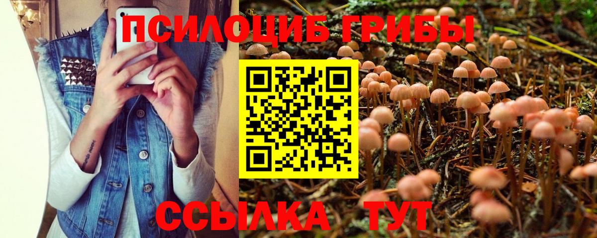  Cocaine Лесной