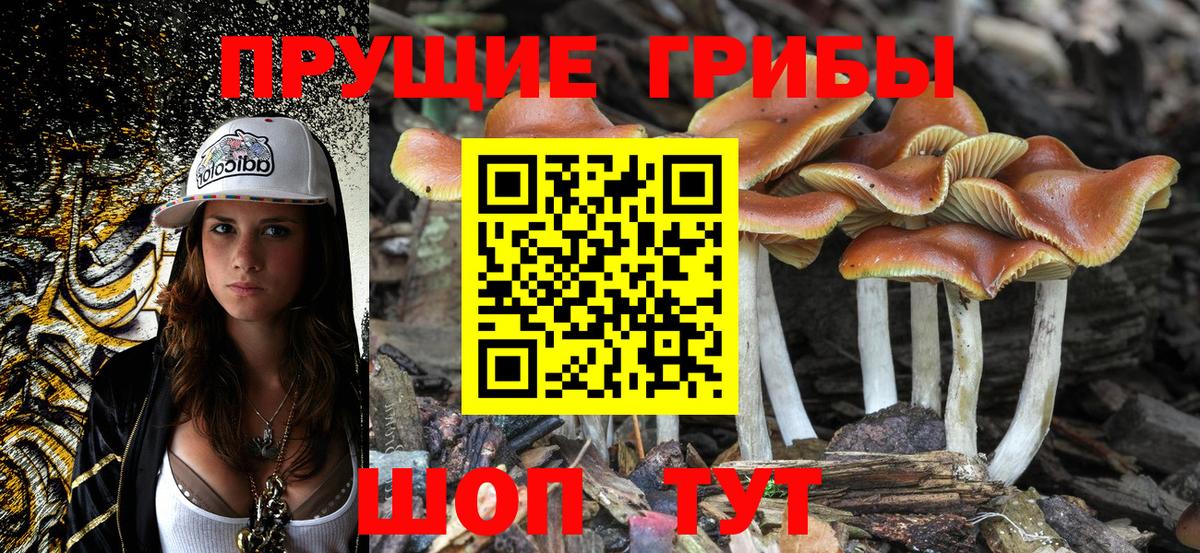 Псилоцибиновые грибы GOLDEN TEACHER  Псилоцибиновые грибы MAGIC MUSHROOMS  Вход с VPN  Лесной 