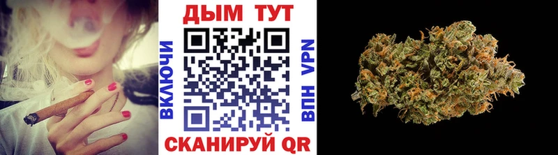 сколько стоит блэк спрут зеркало Марихуана тримм Лесной