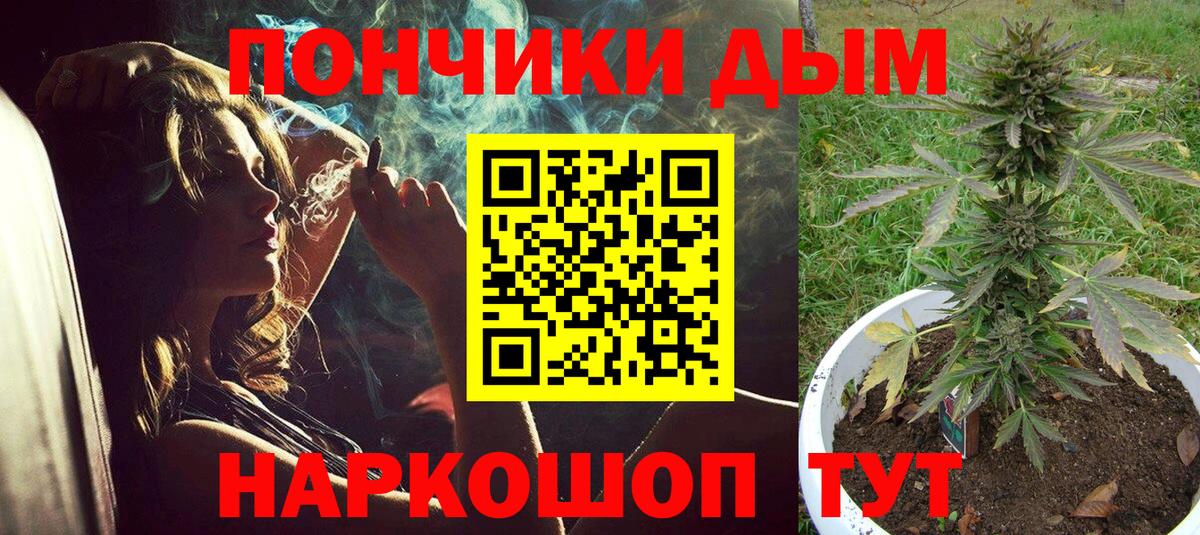 Конопля индика  Вход с VPN  Конопля семена  Лесной 